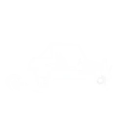 buggy